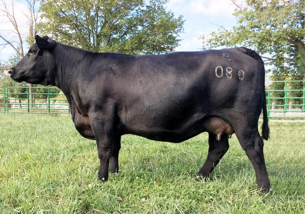 Baldridge Isabel E080