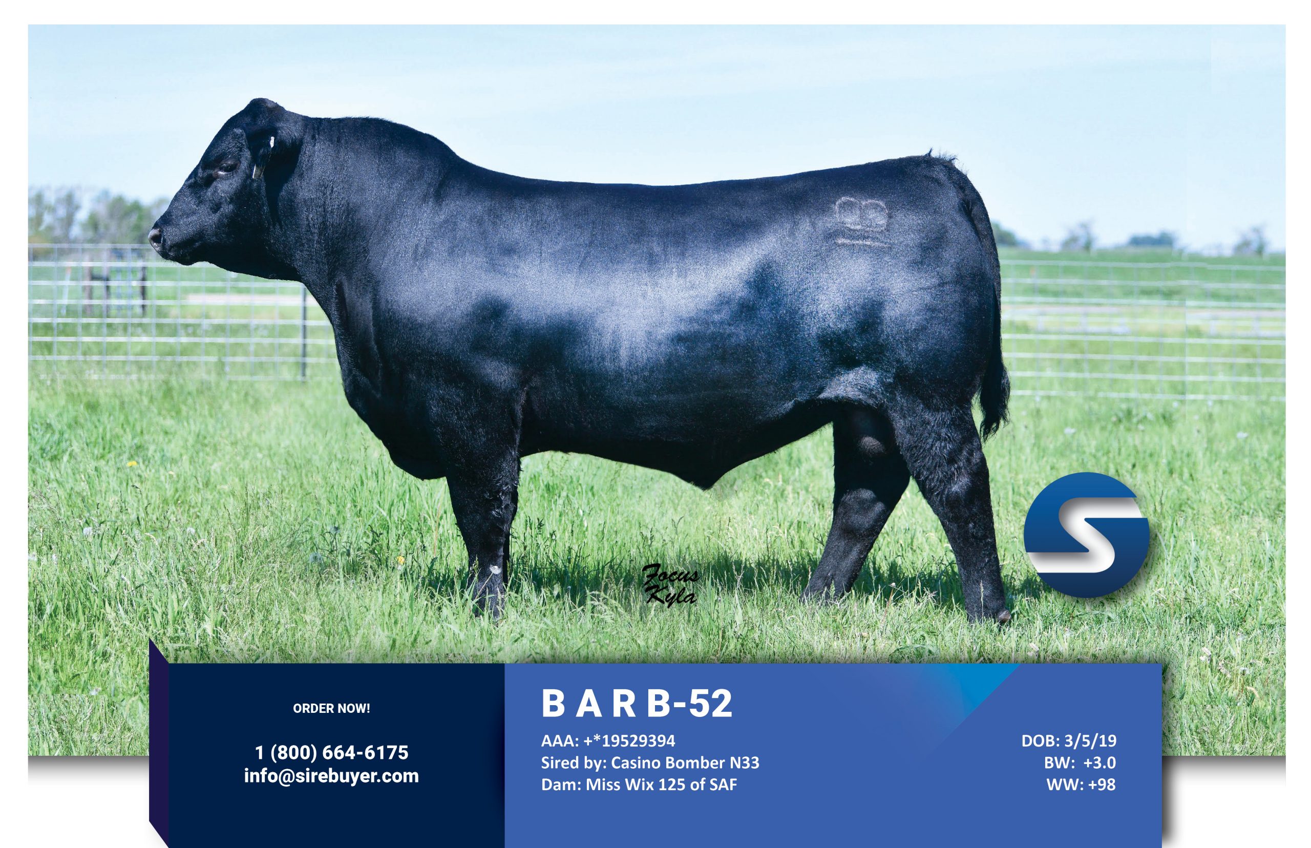 Website - B-52 2 sirebuyer