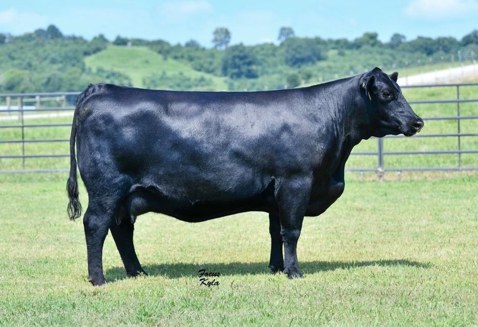 Baldridge Isabel e270