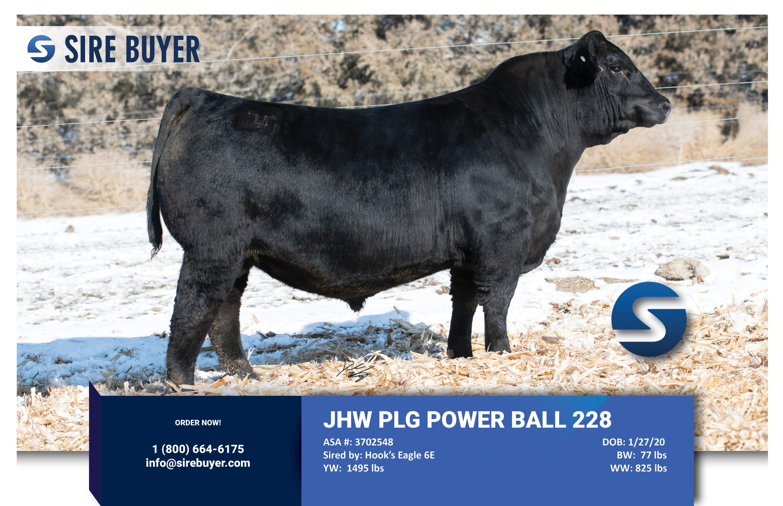 Website - Power Ball