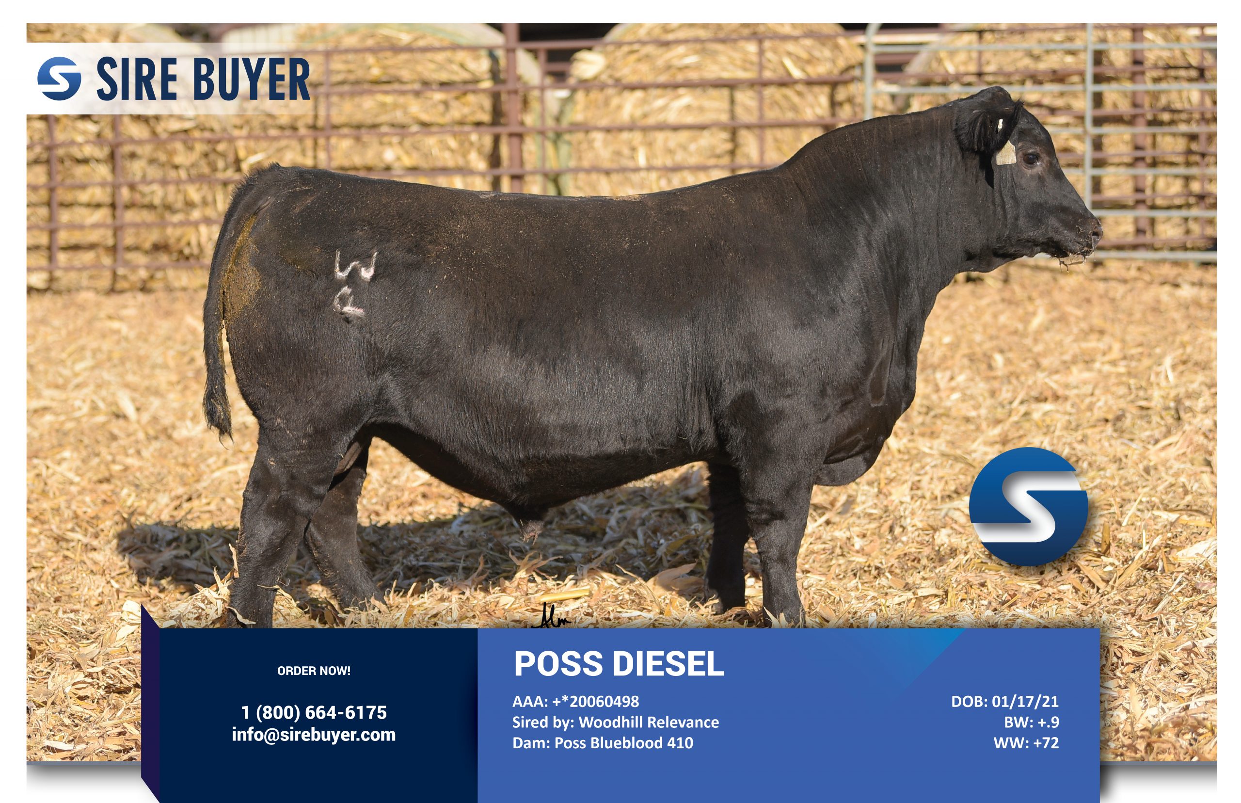 poss diesel - sire buyer