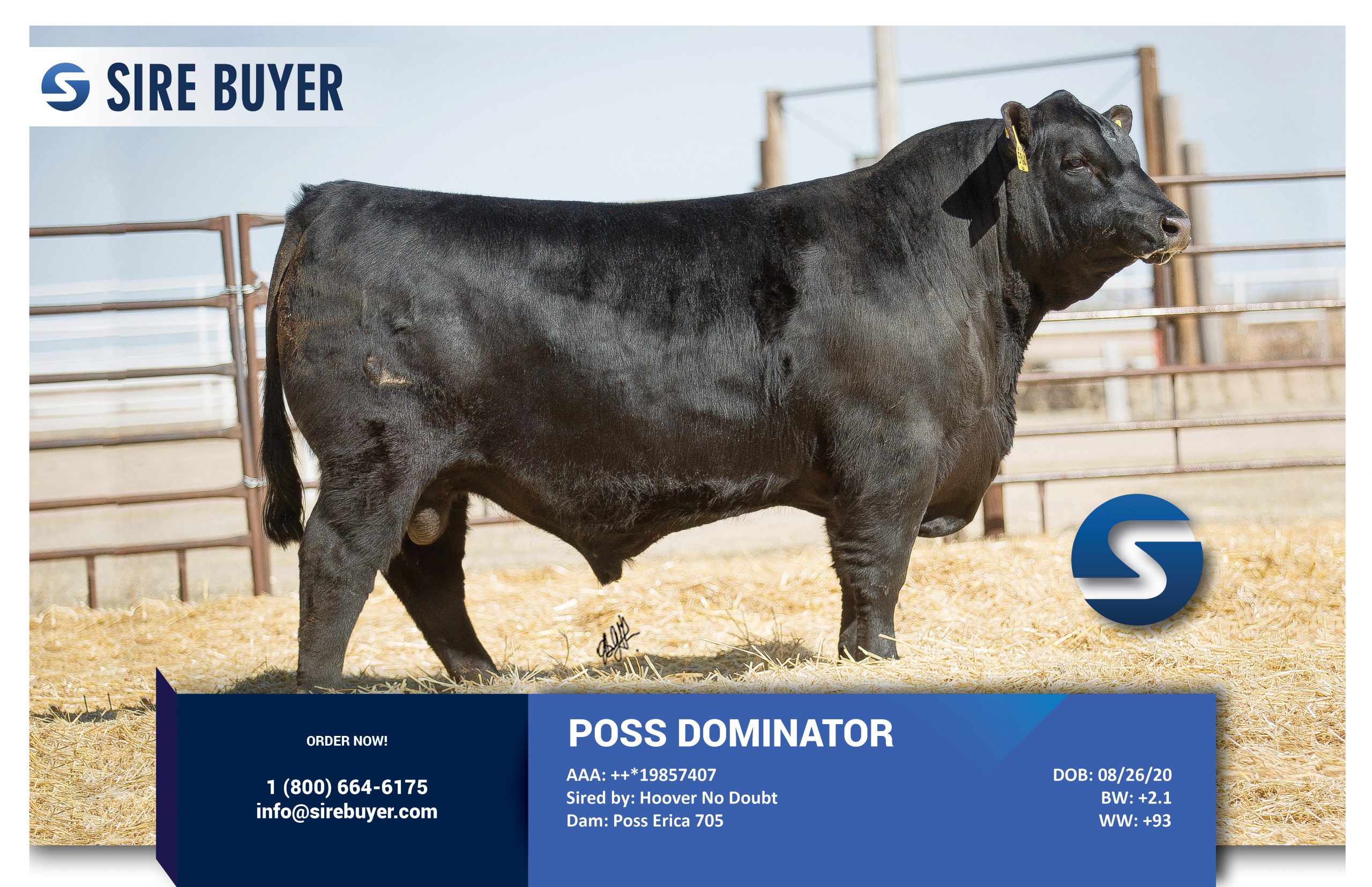 poss dominator - sire buyer - site