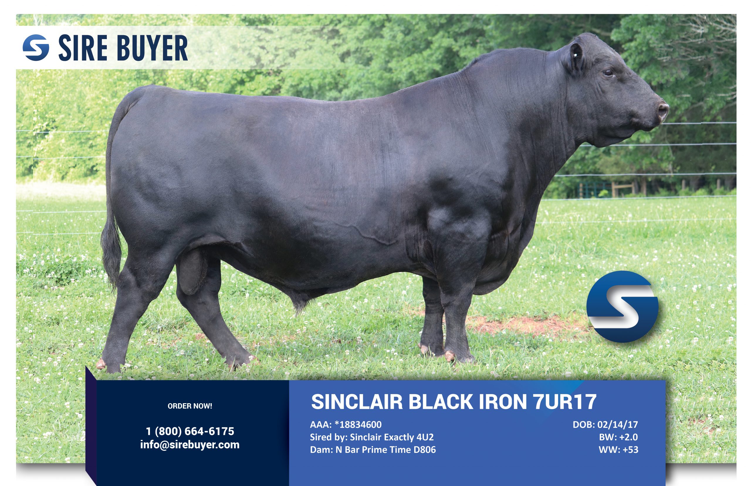 website - sinclair black iron