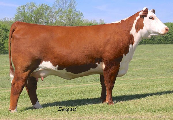 CSF-BR-Gabrielle-8129-ET