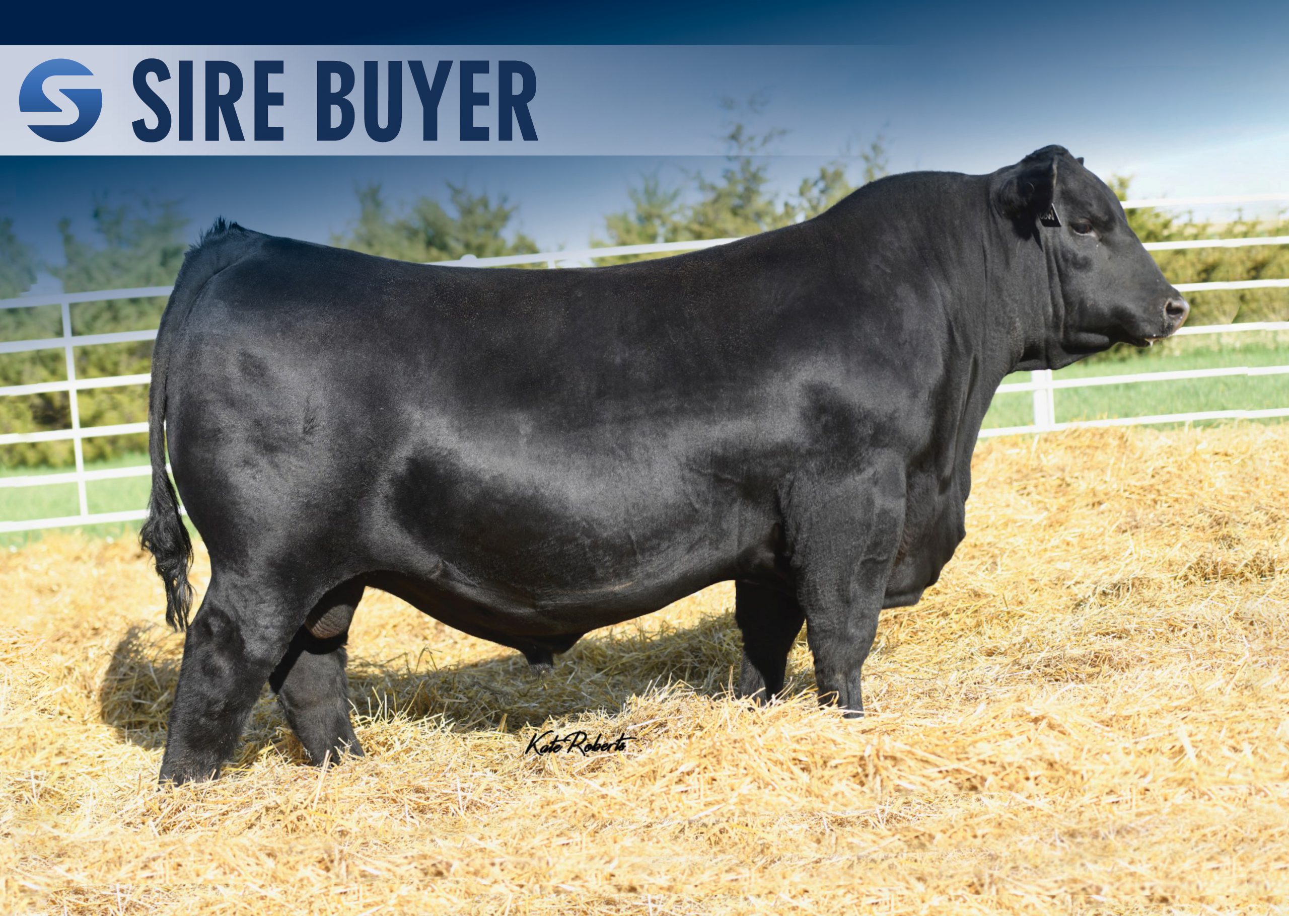 sav john wayne 0862 - sirebuyer