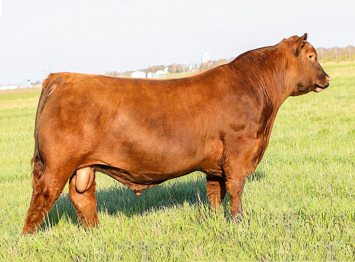 RREDS Pathfinder F811