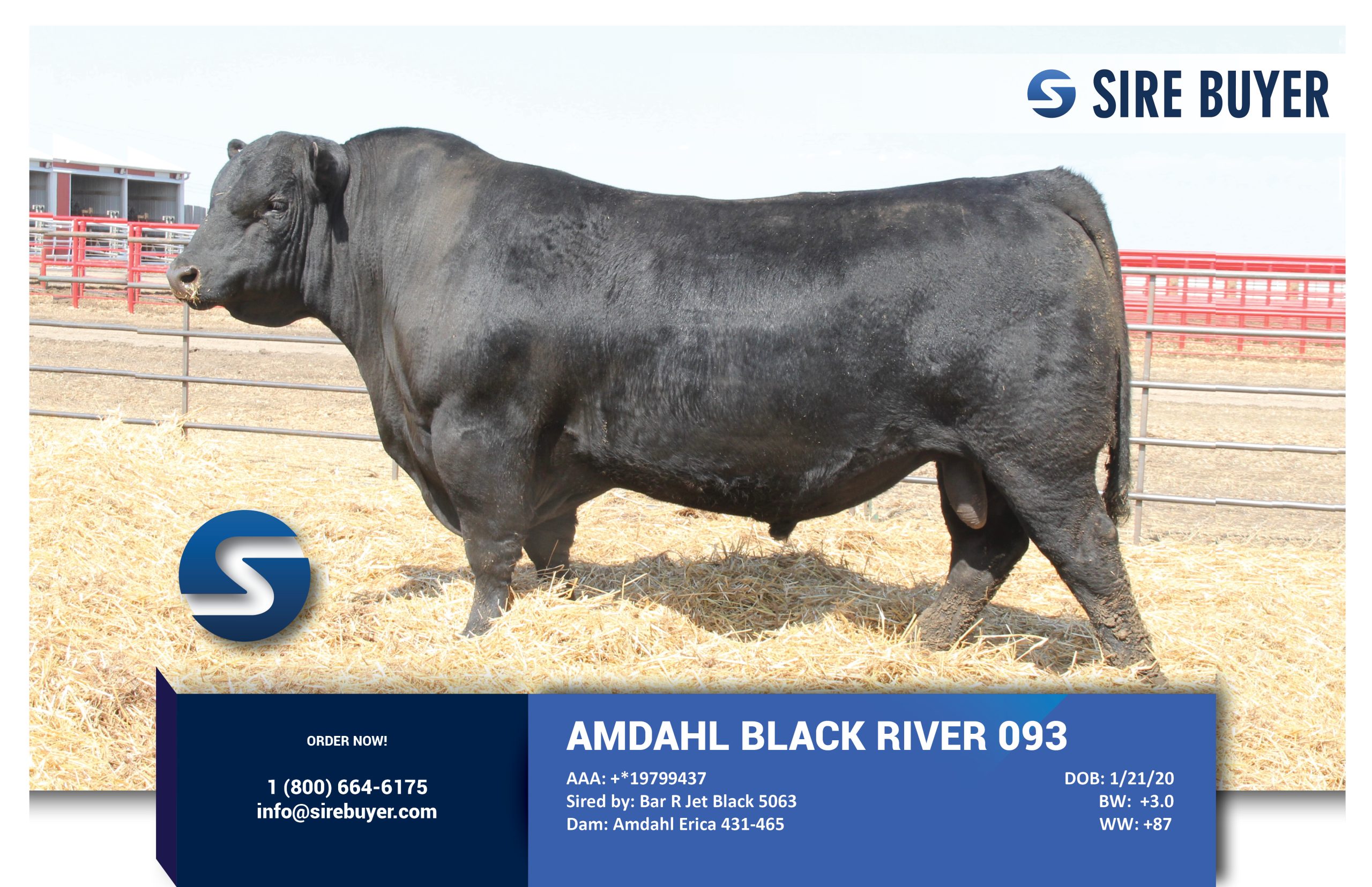 Website - ahmdahl black river 2