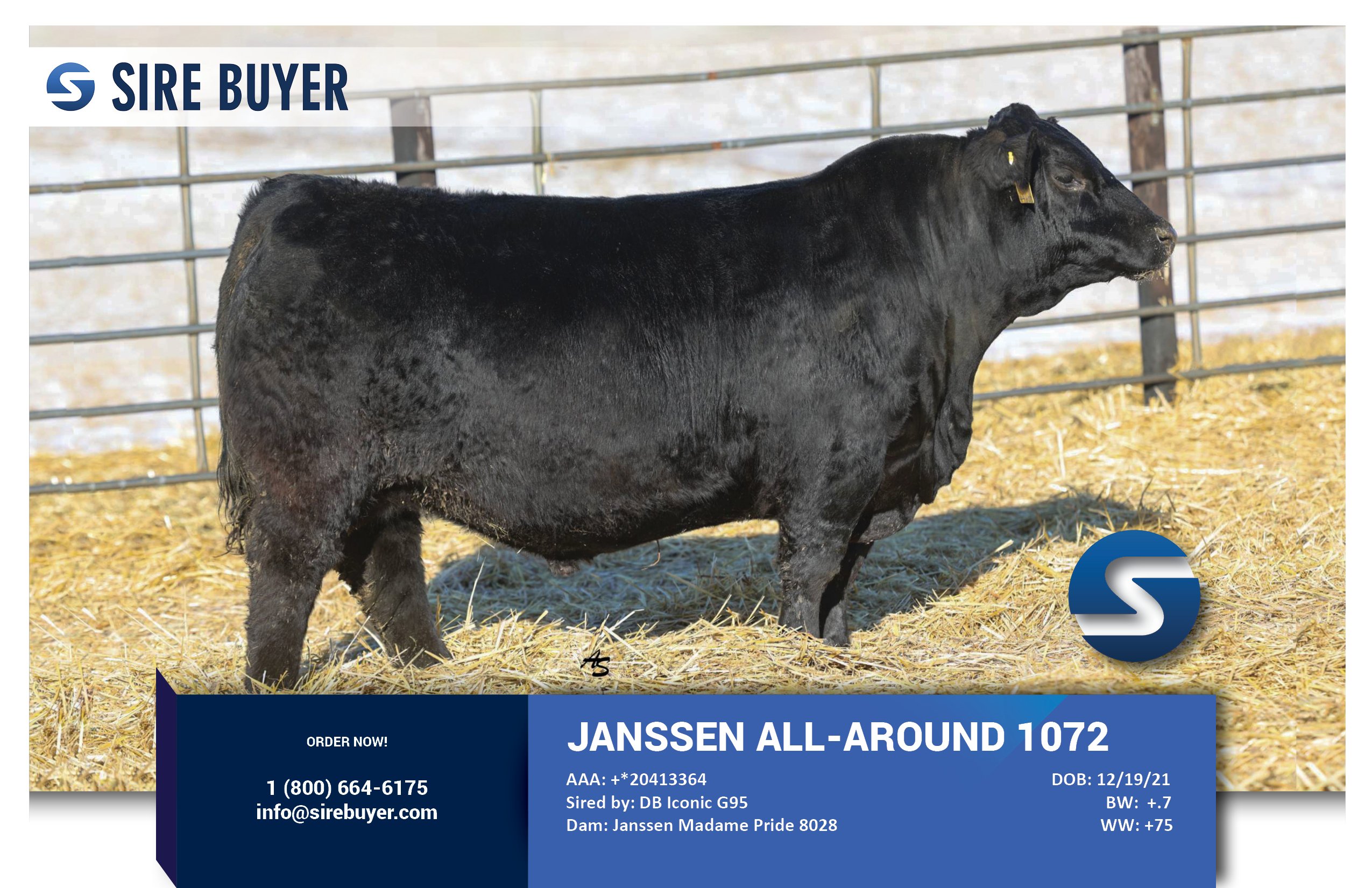 Website - janssen all around 1072