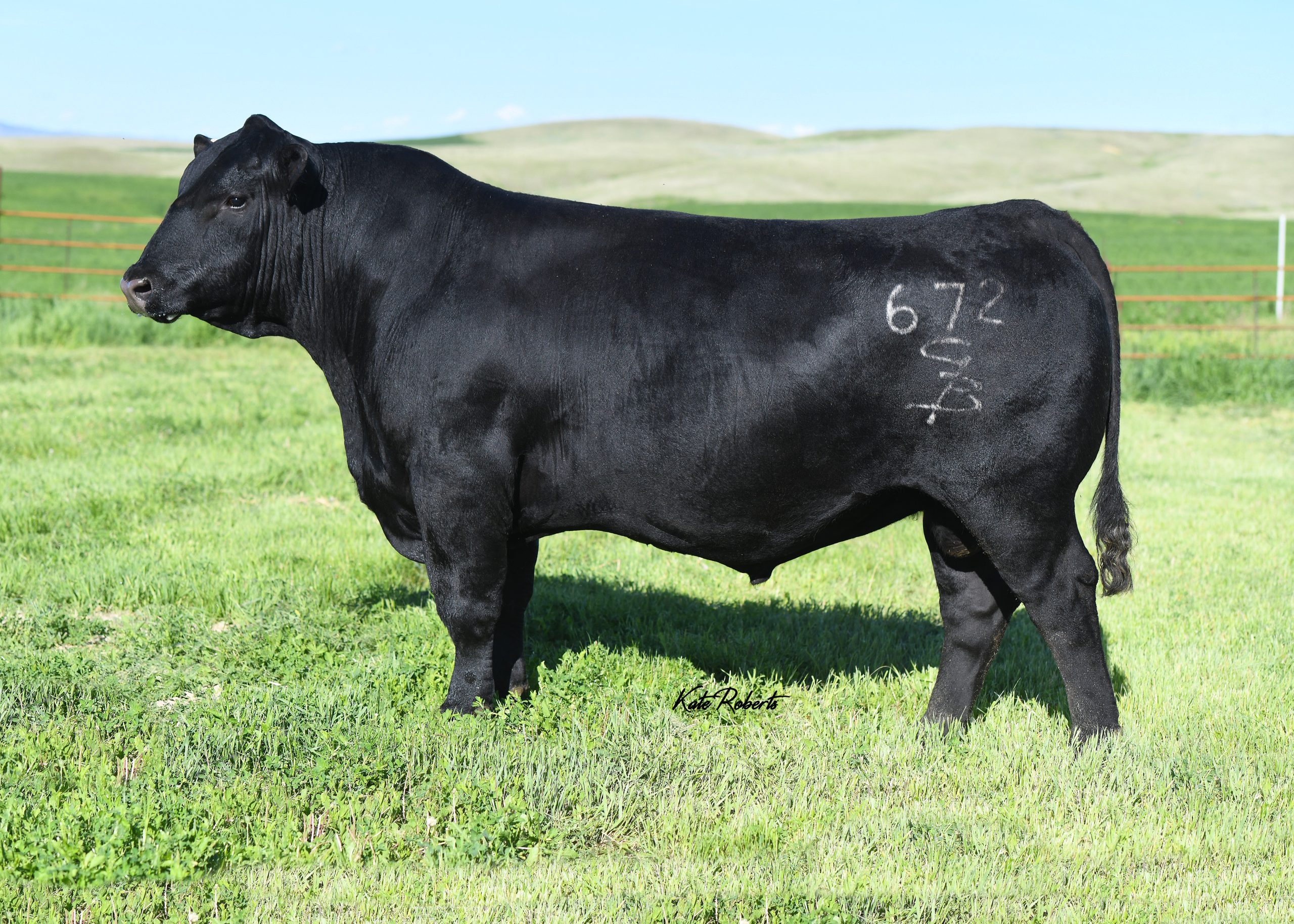 GB Fireball 672