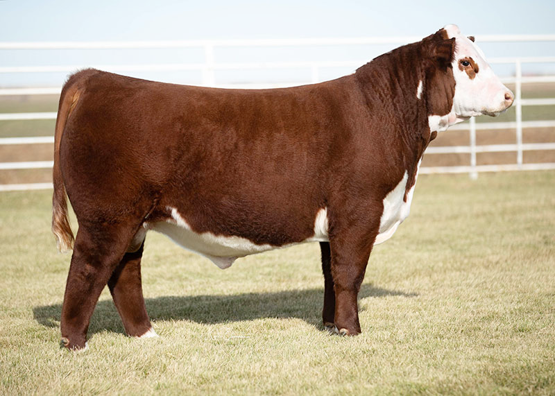 Loewen Genessis G16