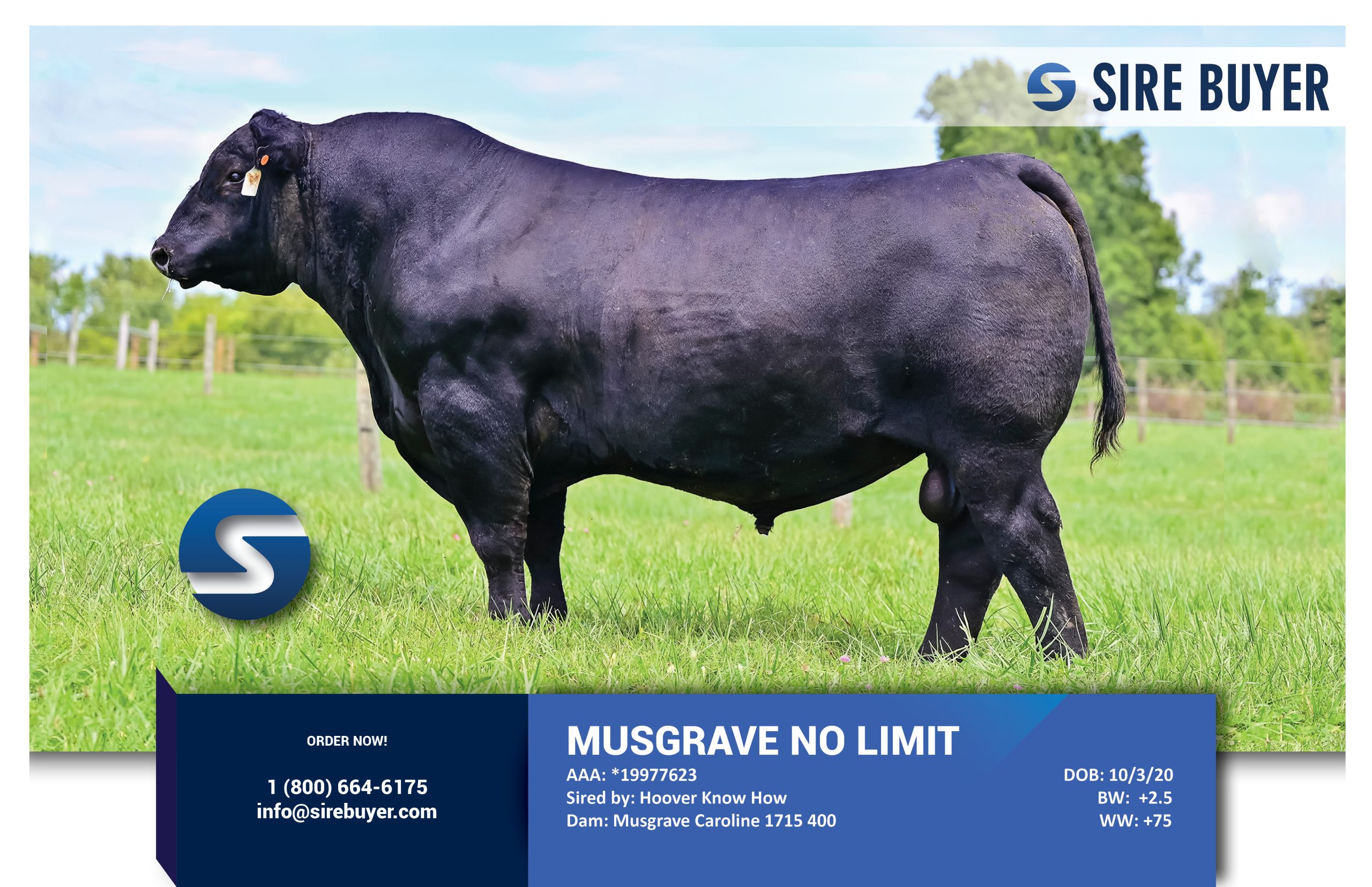 Website - musgrave no limit sirebuyer 2