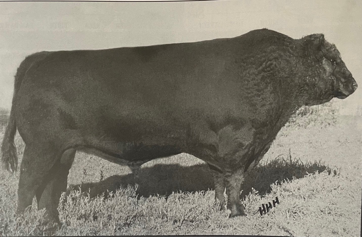 Black Bart 62