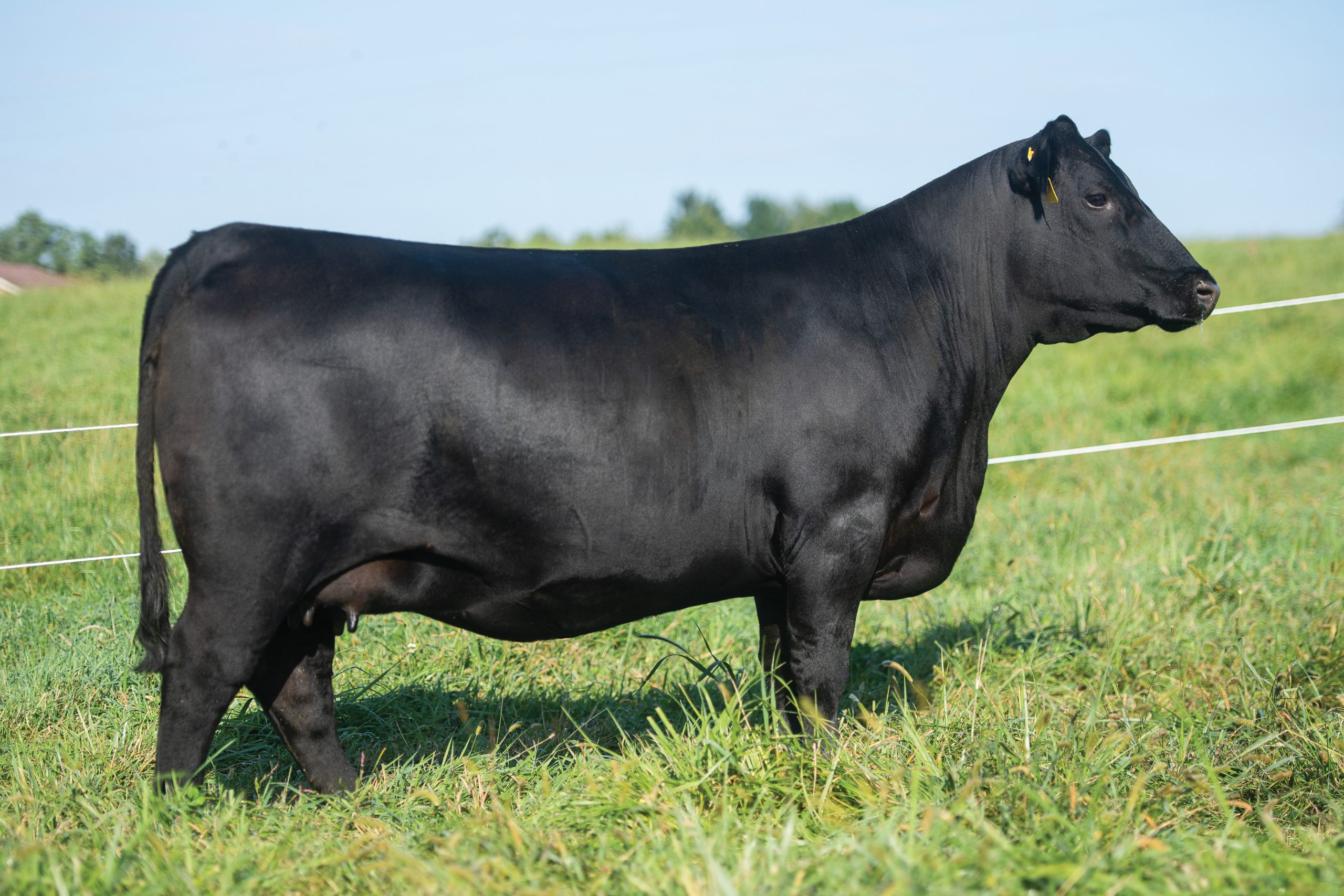 J25_ARH_2689