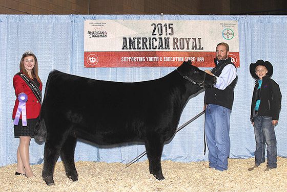 Angus Embryos For Sale:  SB10-3182