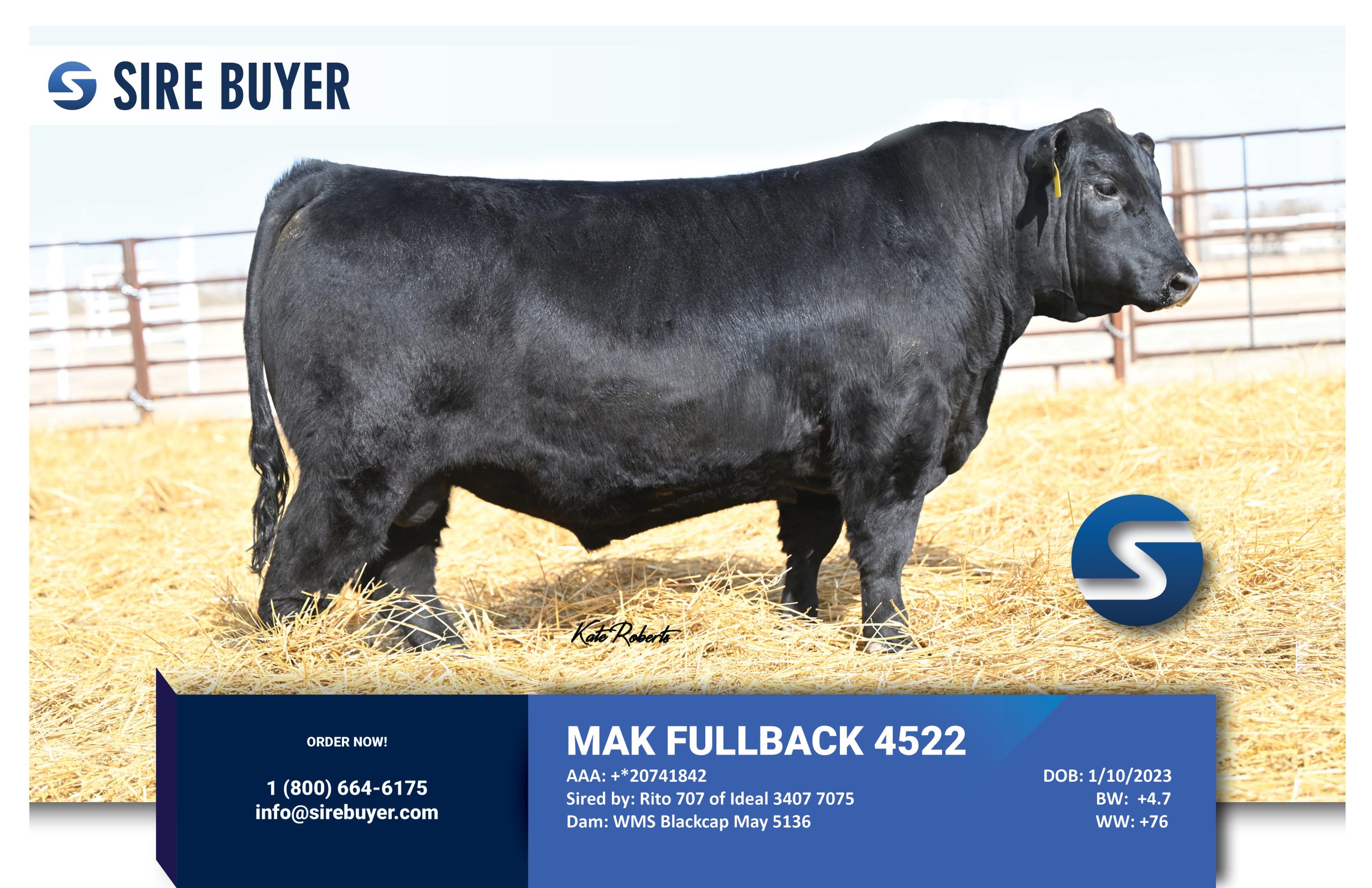 Website - MAK Fullback 4522
