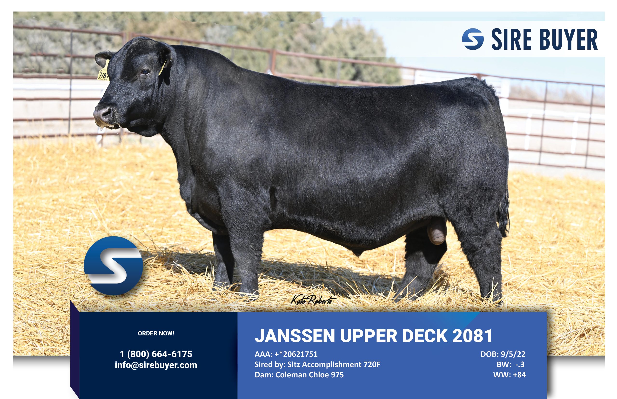 Website - janssen upper deck sirebuyer