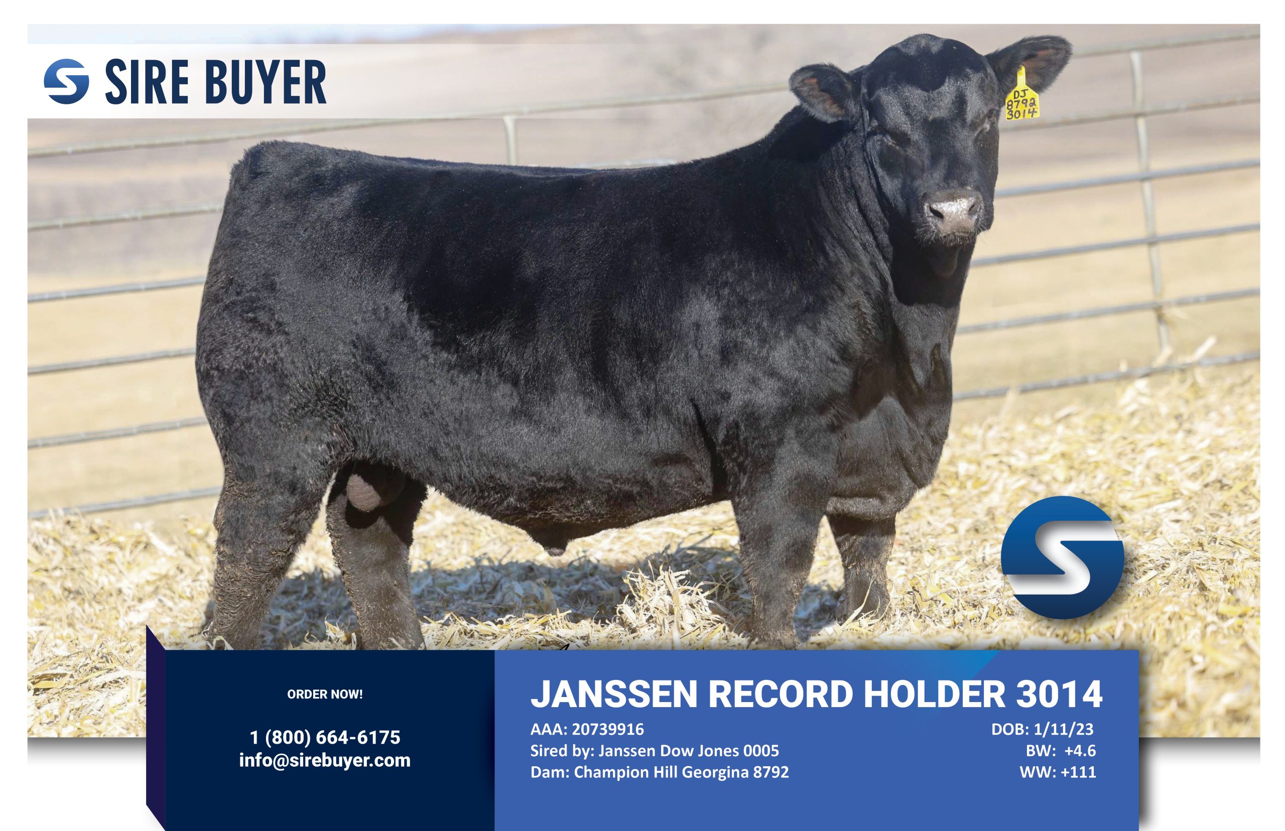 Website - janssen record holder