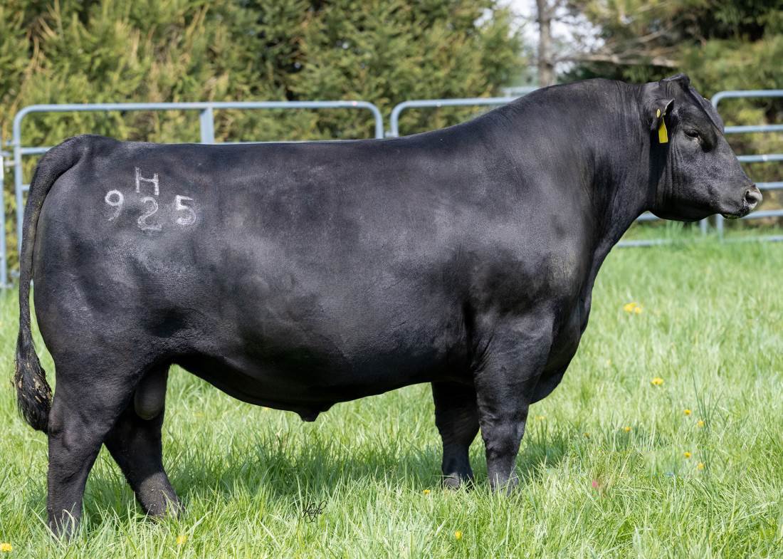 Baldridge Heat Seeker H925