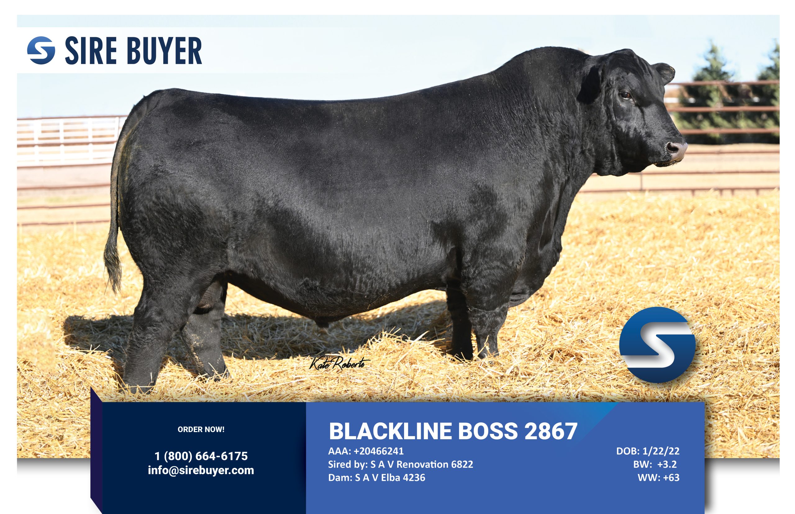 Website - blackline boss 2867