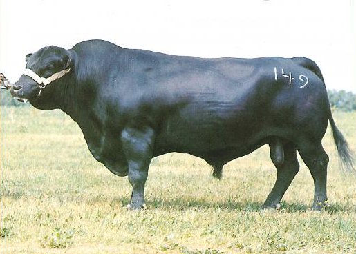 RITO_707_of_IDEAL_53370.6133202_std