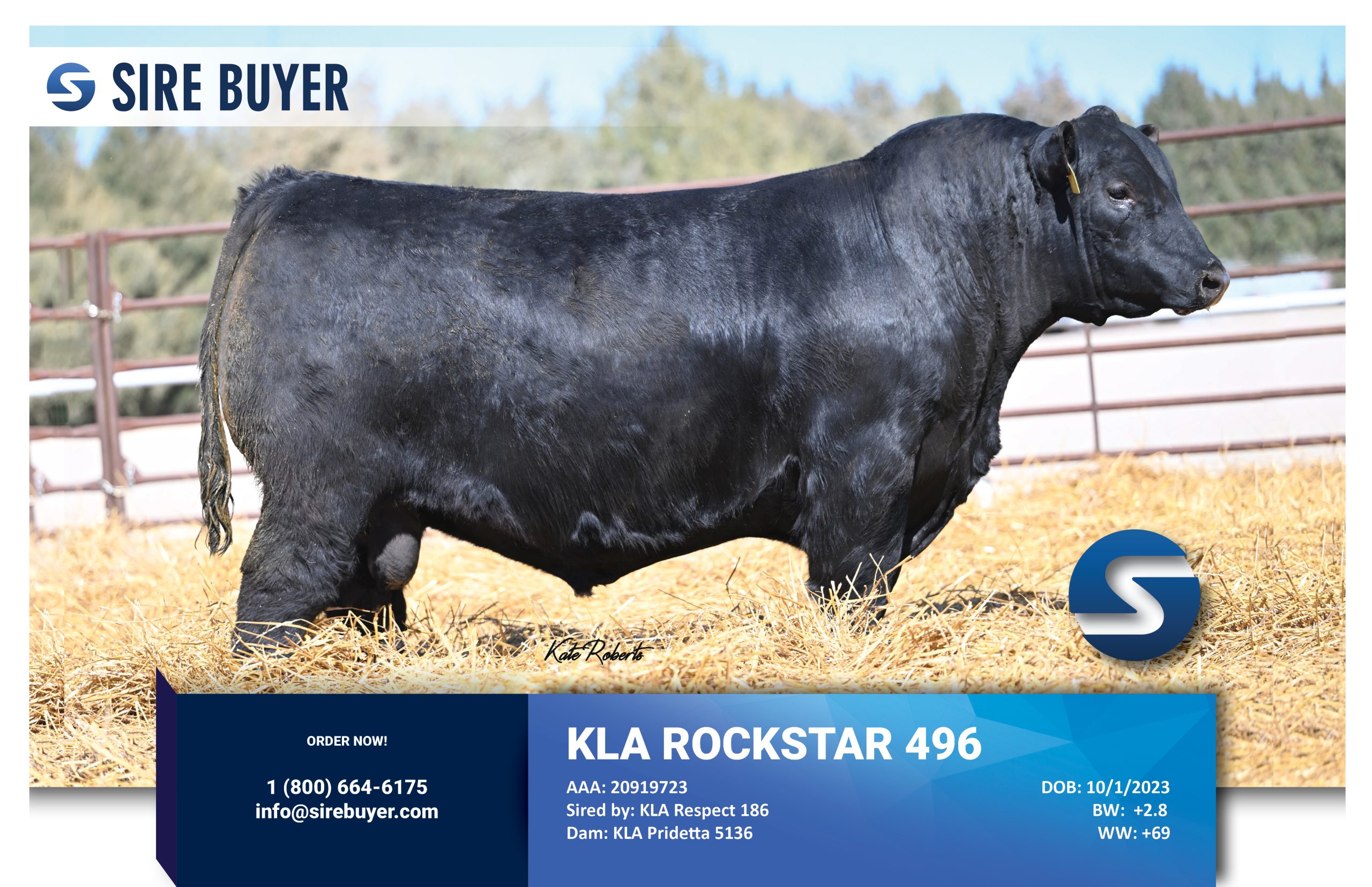 Website - kla rockstar 496 - sirebuyer