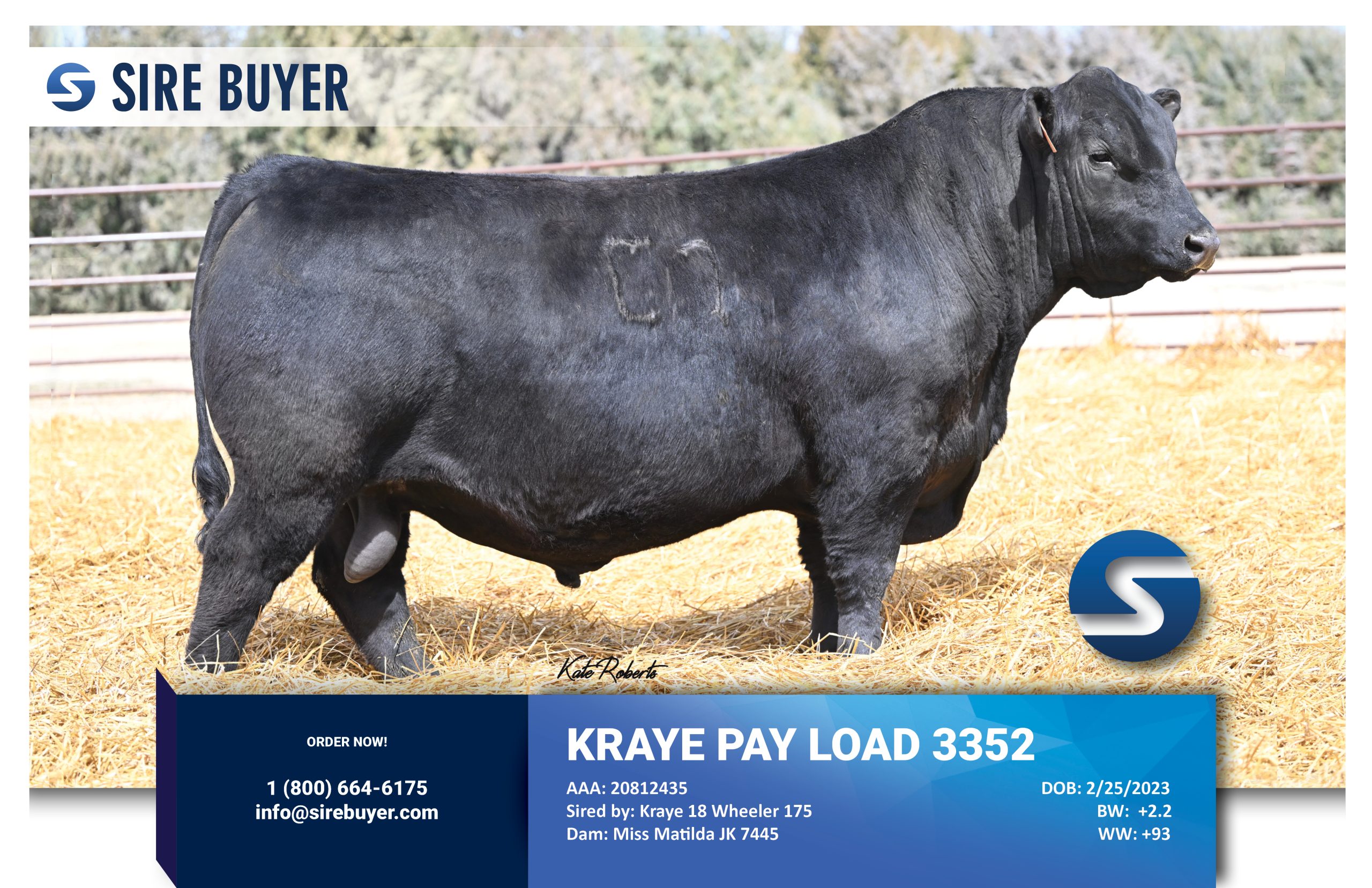 Website - kraye pay load - sirebuyer