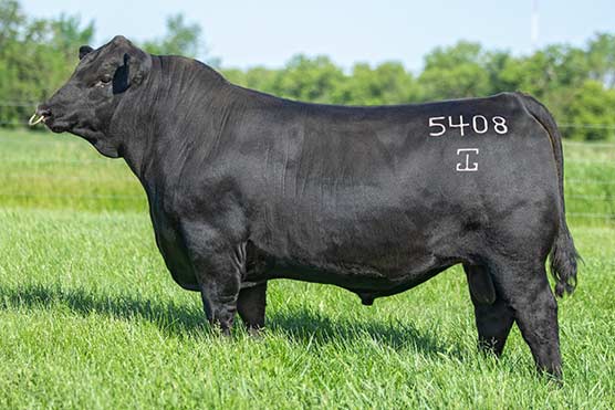 6AN38-GAR-Wallace_Left