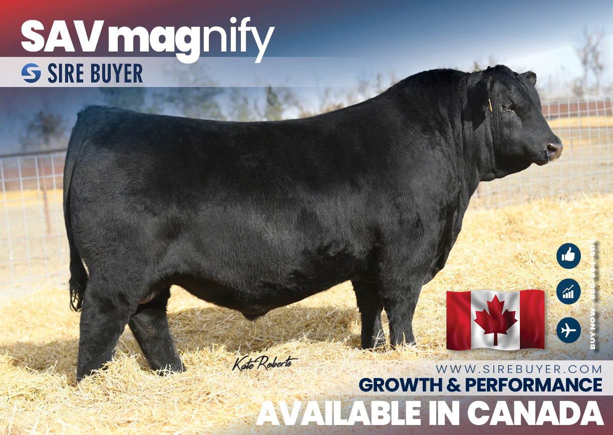 sav magnify 1107 - canada