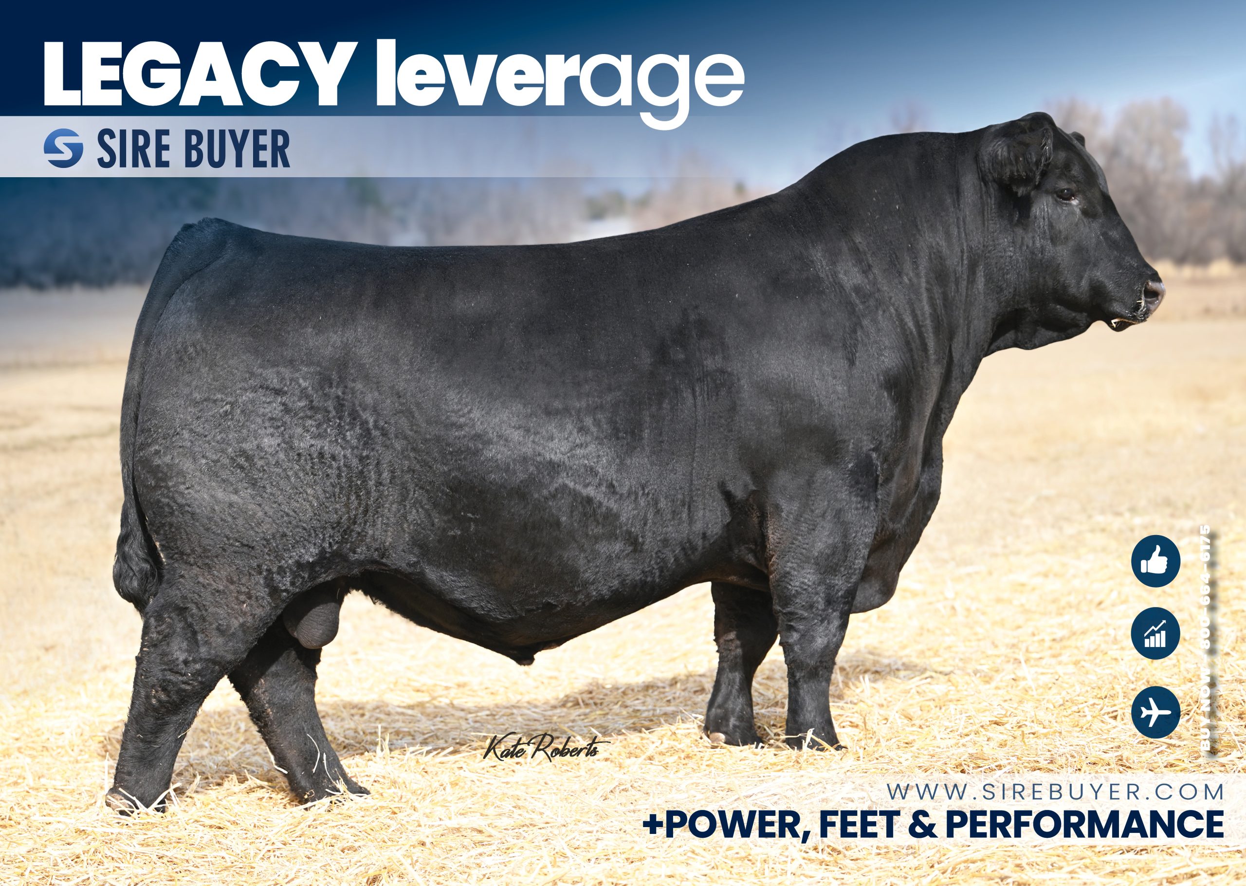 Newly Added Sires - Social Media - legacy leverage 426M