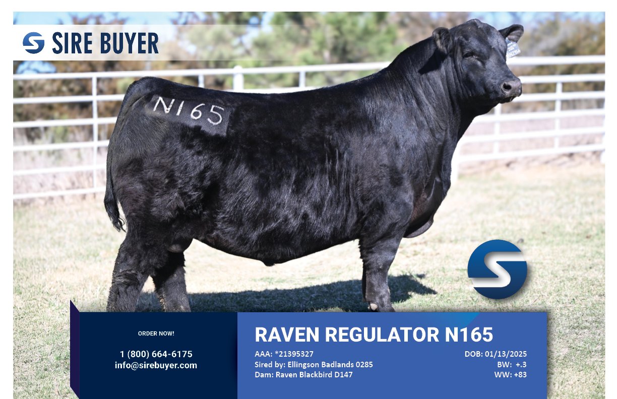 Website - regulator