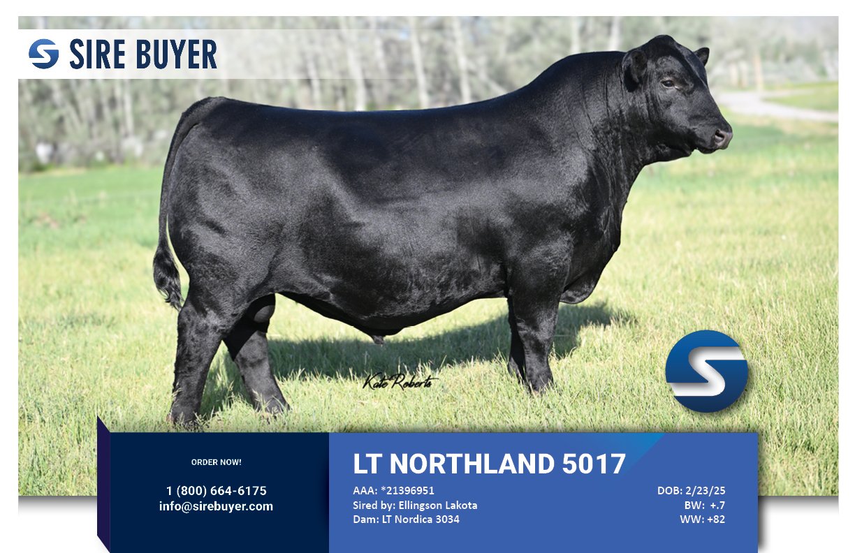 Website - lt northland 5017 - sirebuyer