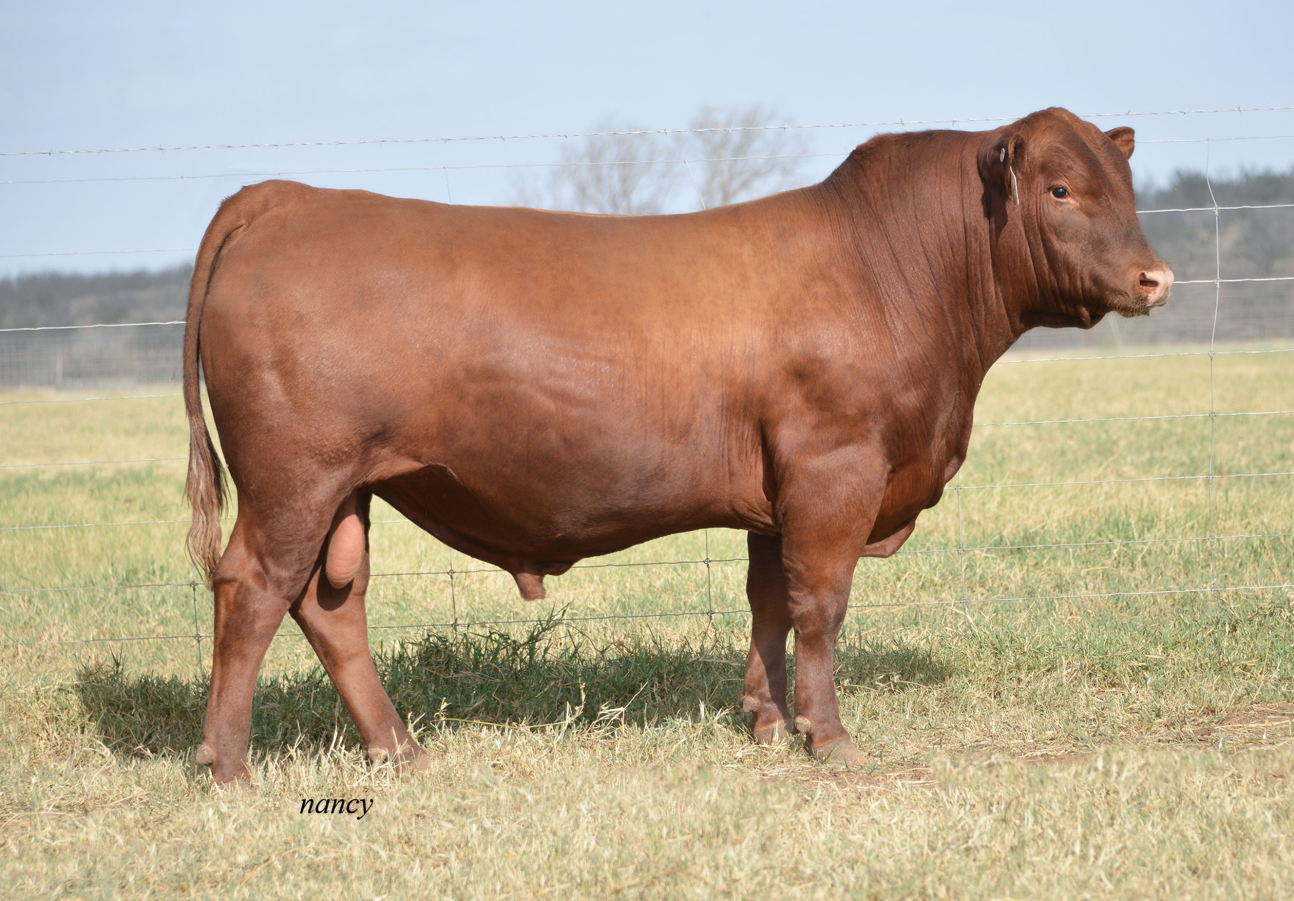 RRAB 2019 F5579